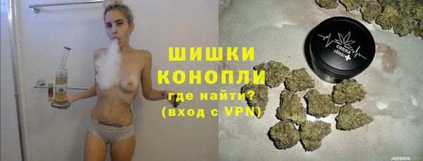 прущие грибы Магас