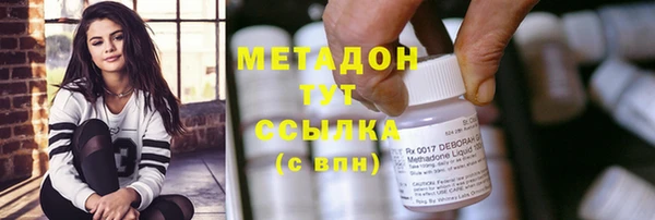 прущие грибы Магас