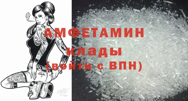прущие грибы Магас