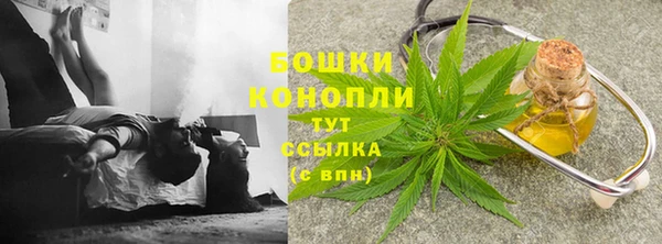 прущие грибы Магас