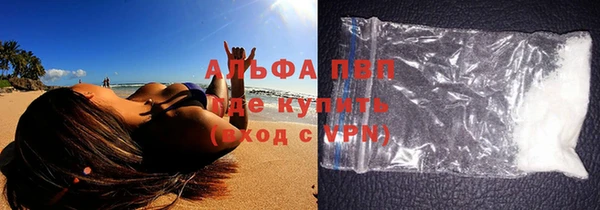 прущие грибы Магас