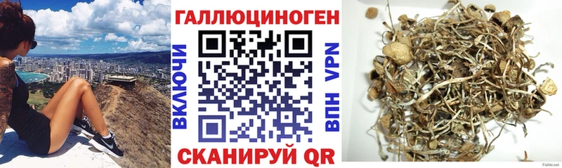 Галлюциногенные грибы прущие грибы Новоуральск